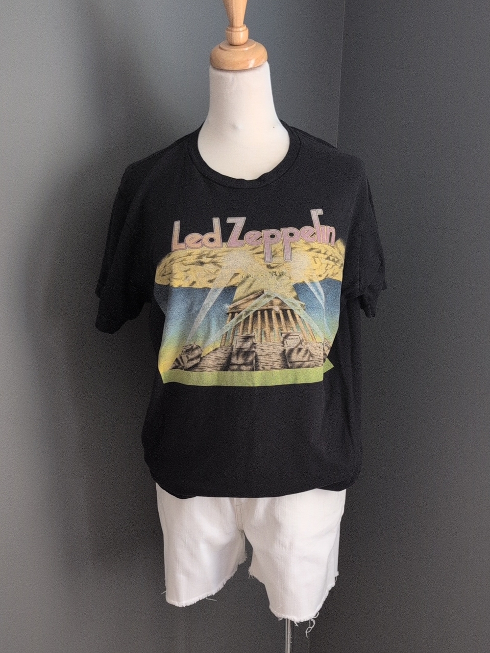 Tultex Black Led Zeppelin Medium